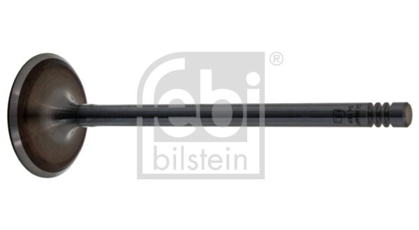 Intake Valve